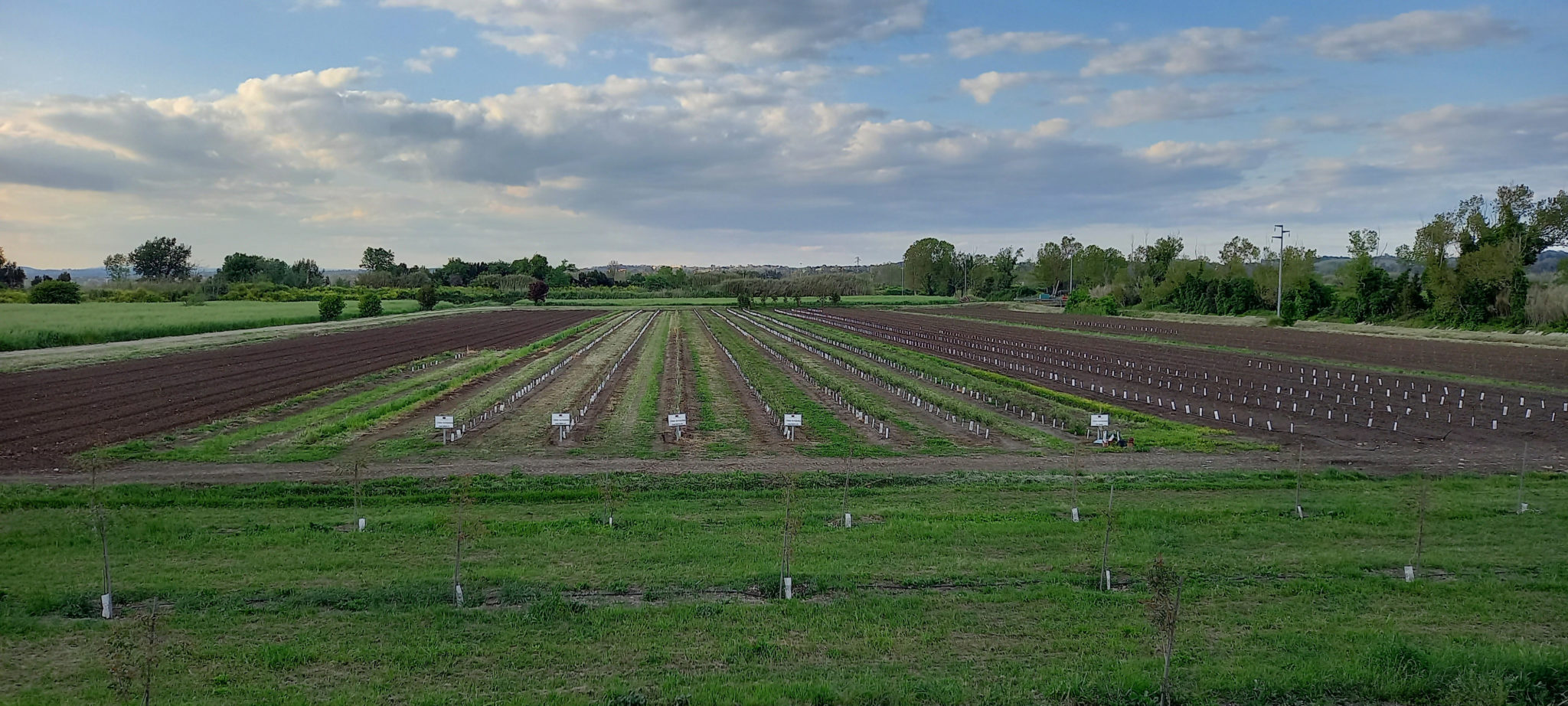 azienda agricola maccarese